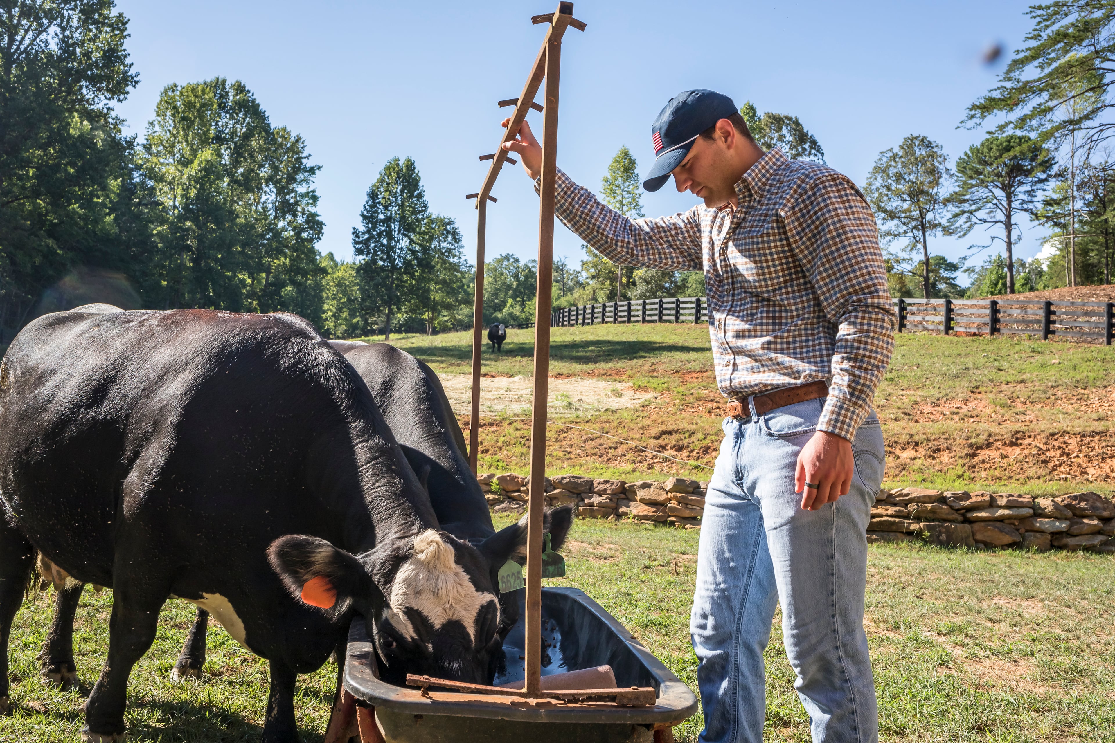 Georgia quarterback Gunner Stockton tends to two of his cattle. When he was a sophomore in high school in Rabun County, Stockton asked for cattle for Christmas and has continued to raise them. The herd at one point reached 30, according to his father, Rob Stockton. (Courtesy of Onward Reserve)
