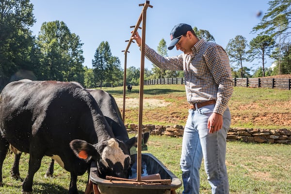 Georgia quarterback Gunner Stockton tends to two of his cattle. When he was a sophomore in high school in Rabun County, Stockton asked for cattle for Christmas and has continued to raise them. The herd at one point reached 30, according to his father, Rob Stockton. (Courtesy of Onward Reserve)