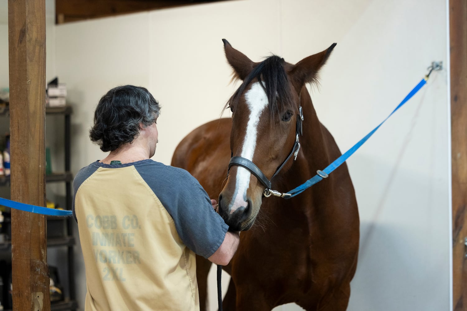 aajc 110625 anx cobb so equine