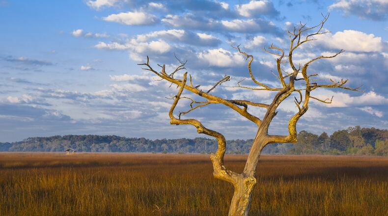 A salt marsh view near Darien on the coastal Altamaha Historic Scenic Byway.
Courtesy of ExploreGeorgia.org
