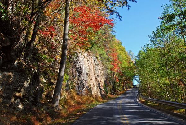 Driving around Amicalola State Park offers spectacular view of the changing leaves.CONTRIBUTED BY GEORGIA STATE PARKS