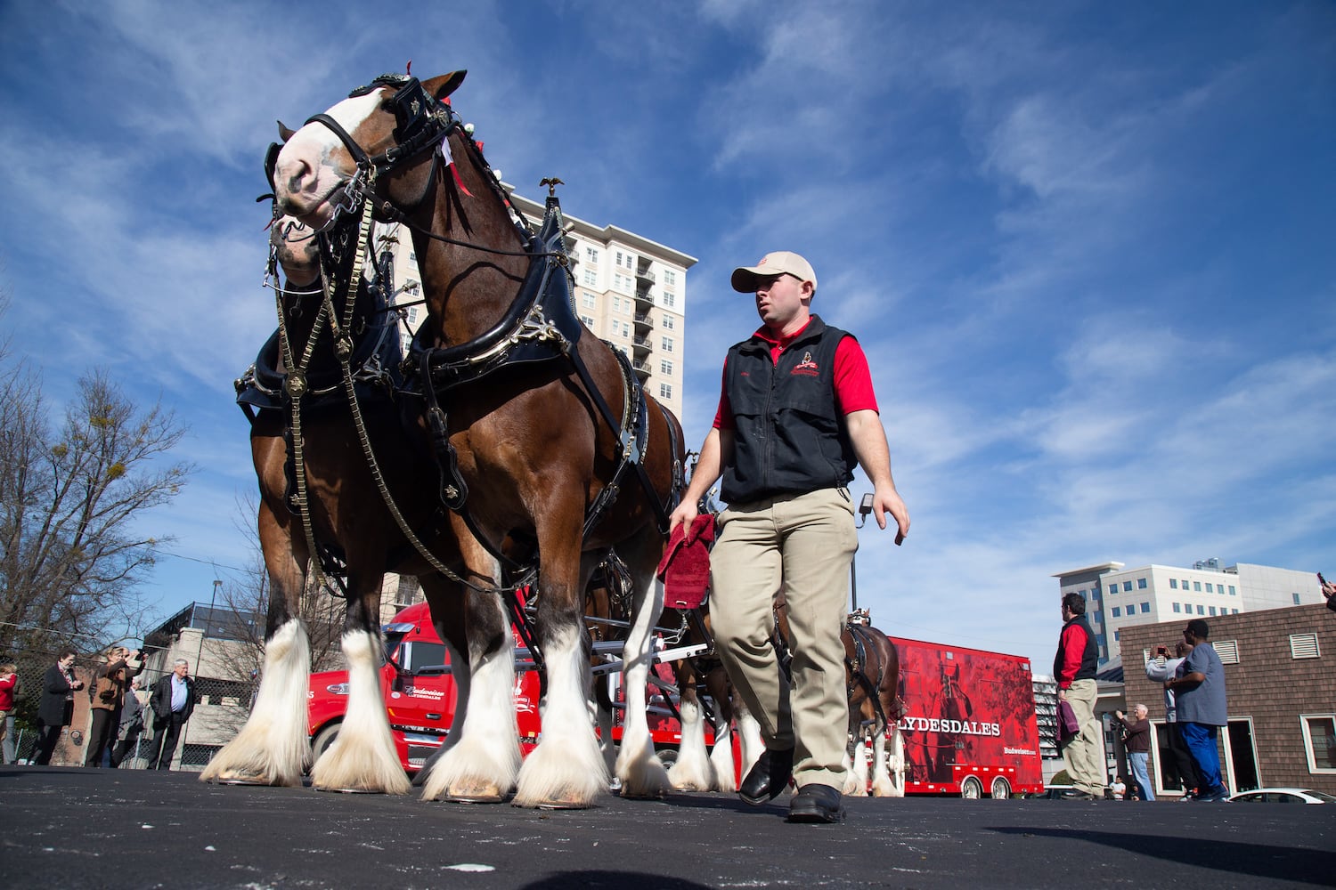 Photos: Clydesdales trot in for Super Bowl