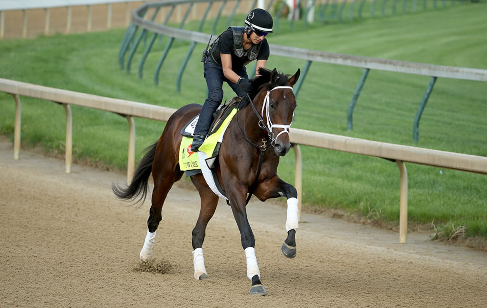 2016 Kentucky Derby field