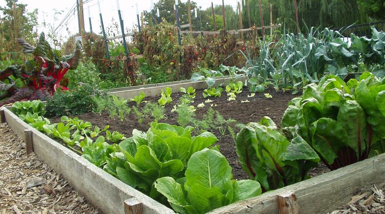 A community garden is being planned for Rhodes Jordan Park in Lawrenceville. (File Photo)