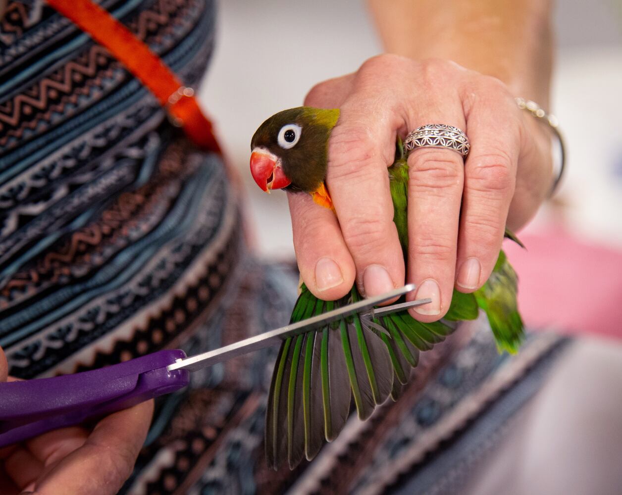 PHOTOS: SA Exotic birds