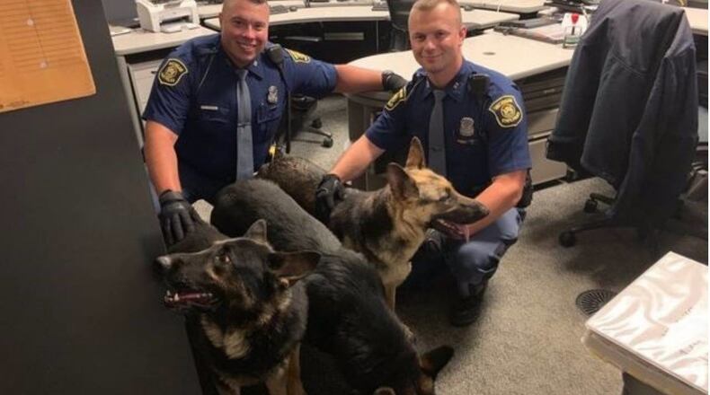 Troopers pose with the three German shepherds that were found on a Detroit freeway early Wednesday.