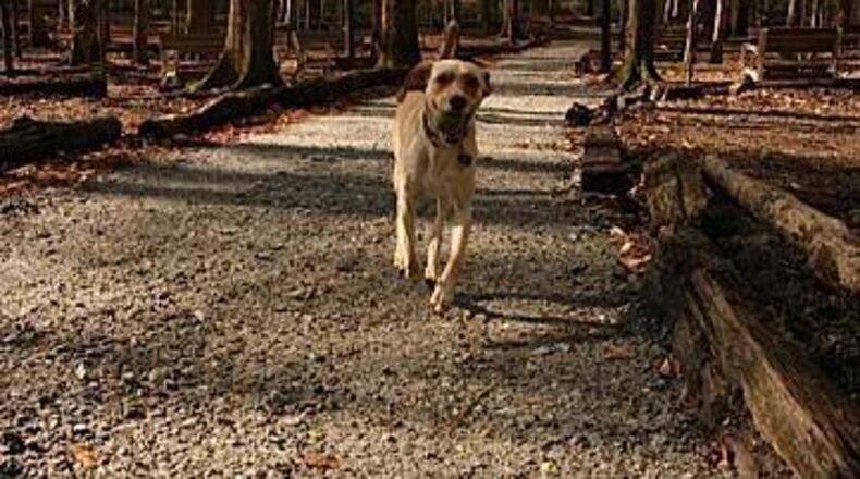 Brook Run Dog Park is in Dunwoody.