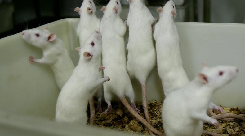 A child was locked in a basement that contained mice and rats, according to Muncie police.