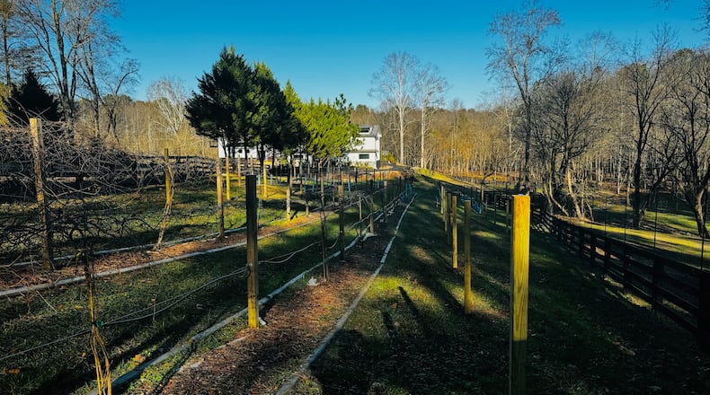 D’Rose Vintners is owned by married couple Jim and Daryn Rosenberger. Milton City Council approved rezoning of the Rosenbergers’ property in 2021 for what was described as a “hobby” winery. The winery is on 11 of the property’s 18 acres. Courtesy Jim Rosenberger