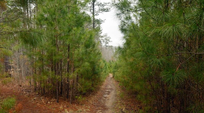 A trail winds through the Simpsonwood lodge/retreat center property towards the Chattahoochee River. KENT D. JOHNSON / KDJOHNSON@AJC.COM