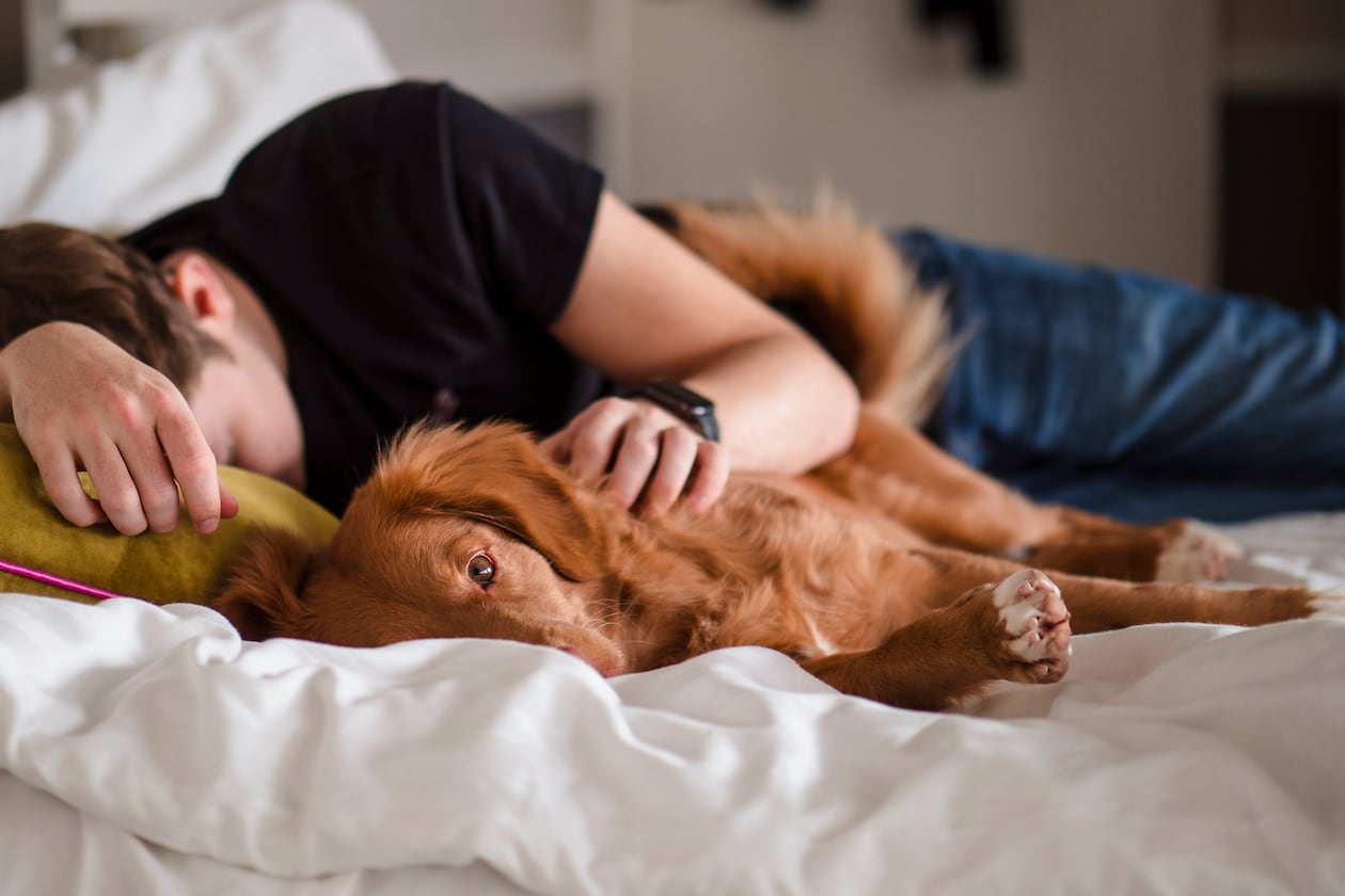 Grab your favorite pillow and find somewhere comfortable to doze off. You might need what scientists are calling a “synaptic reset.” (Photo Courtesy of Jamie Street/Unsplash)