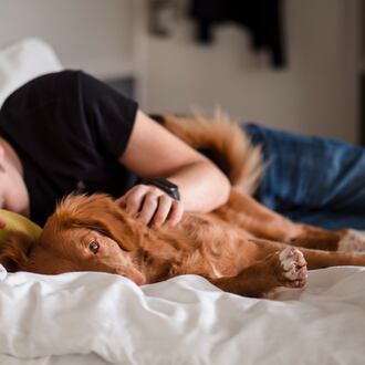 Grab your favorite pillow and find somewhere comfortable to doze off. You might need what scientists are calling a “synaptic reset.” (Photo Courtesy of Jamie Street/Unsplash)