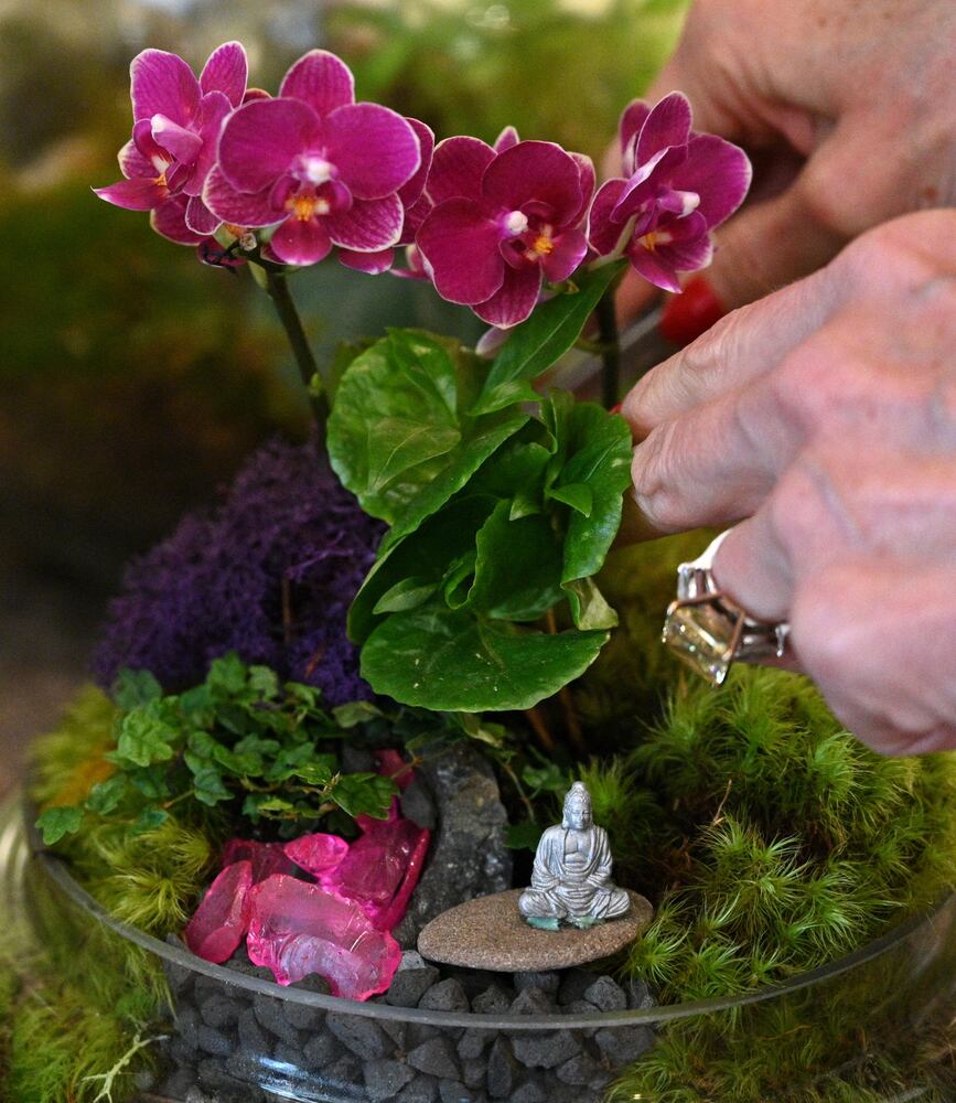 21 indoor, easy-to-care-for plants