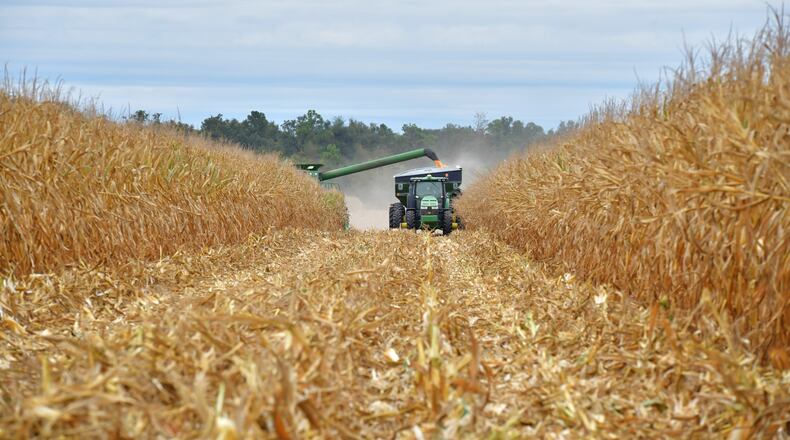 October 18, 2019 Vada - Workers harvest field corns at Worsham Farms in Vada on Friday, October 18, 2019. It's been six years since Florida took its long-running water rights grievances against Georgia to the Supreme Court, and since then the focus of its suit has shifted from metro Atlanta to the farmland of SW Georgia. (Hyosub Shin / Hyosub.Shin@ajc.com)
