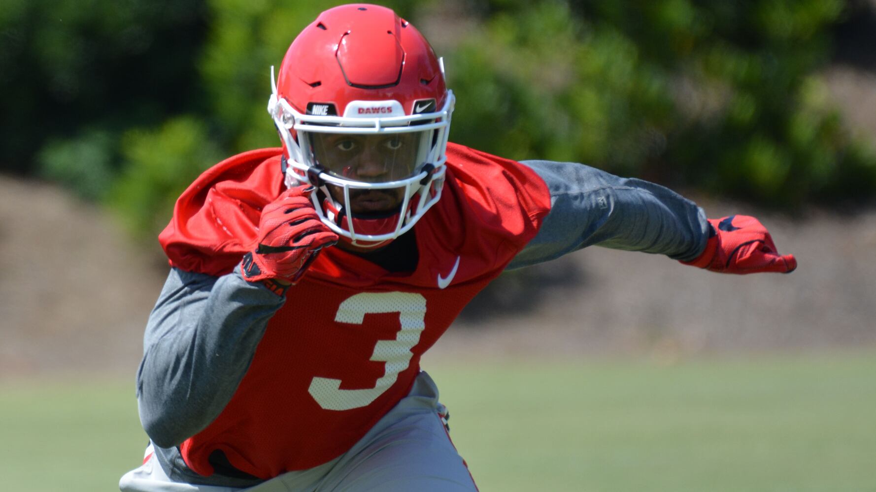 Georgia Bulldogs