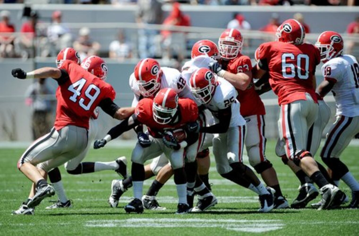 UGA football photos: G-Day