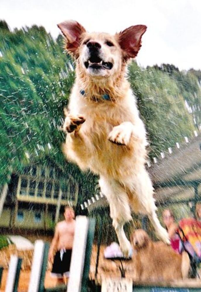 Happy Monday! Atlanta's Smiling Pets