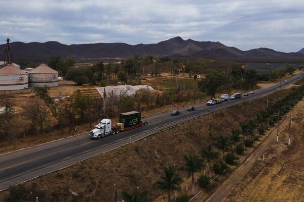 Ostok Sanctuary staff members transport animals in trucks to Mazatlan, Sinaloa state, from the refuge in the outskirts of Culiacan, Sinaloa state, Mexico, Tuesday, May 20, 2025. (AP Photo/Felix Marquez)