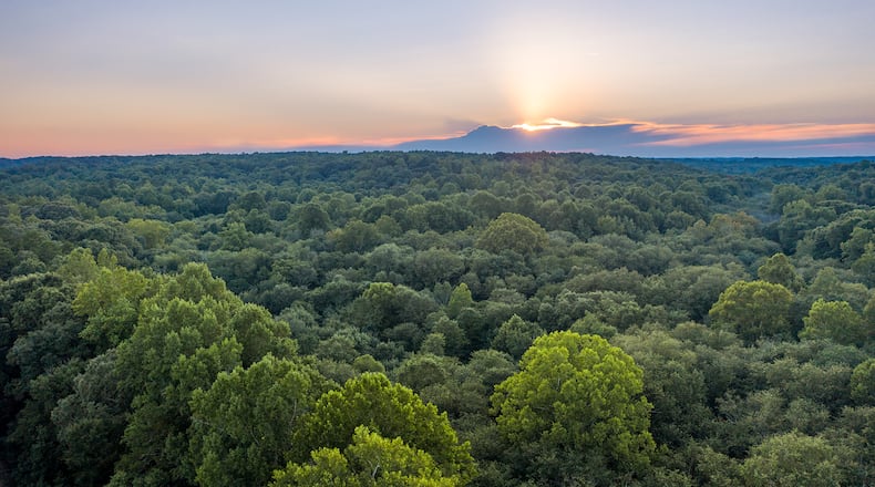 Gwinnett County officials plan to transform 2,000 acres of rural land near Ga. 316 into a hub for jobs and research focused on agriculture, medicine and the environment. (Courtesy of Rowen Foundation)