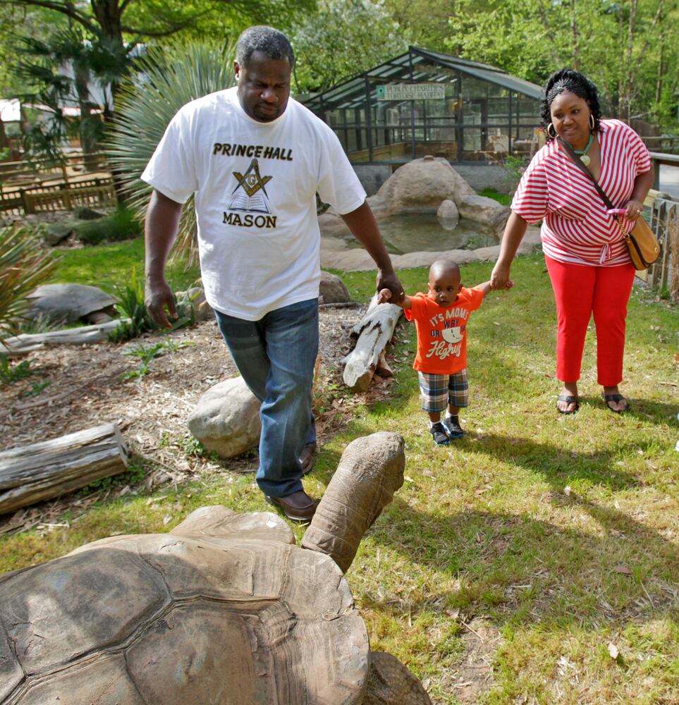 Atlanta animal encounters
