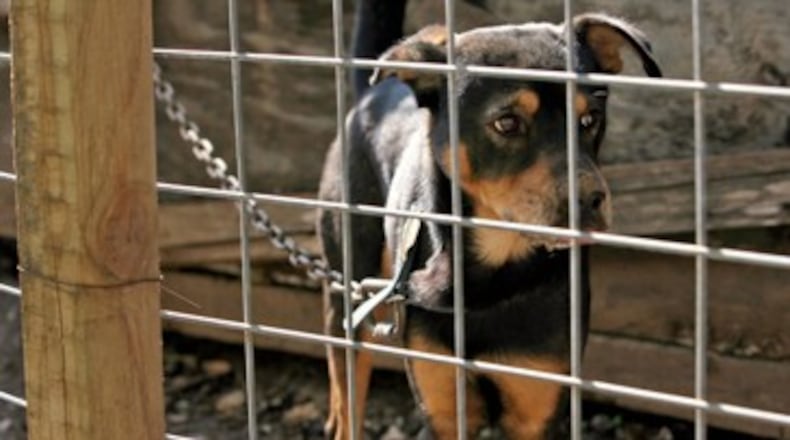 The Smyrna City Council has joined the Powder Springs City Council in banning most tethering of animals - except outside temporarily and only when the owner is present - to match Cobb County’s code. AJC file photo