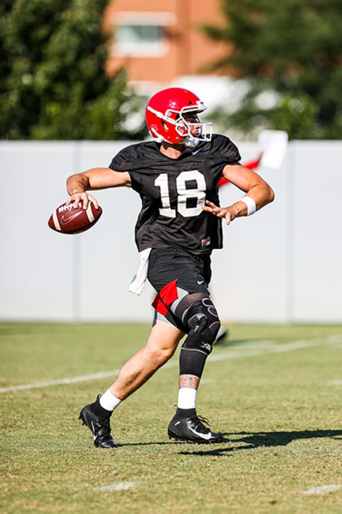 Georgia Bulldogs