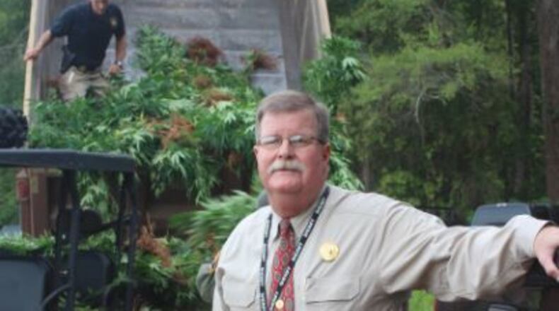 Monroe County Sheriff John Cary Bittick poses in front of a few of the 23,000 marijuana plants seized last week. (Credit: Monroe County Sheriff’s Office)