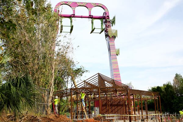 Workers tend to frame construction on the operator's building for the Serengeti Flyer, in the background, on Oct. 11, 2022, at Busch Gardens in Tampa, Florida. The 135-foot-tall attraction, expected to open in spring 2023, will feature two pendulum-like arms, seating 40 riders that fly progressively higher with each swing, providing sweeping views of the park's Serengeti Plain and downtown Tampa. (Douglas R. Clifford/Tampa Bay Times/TNS)