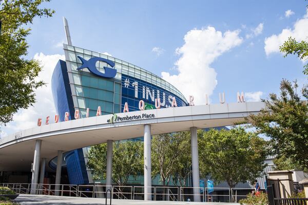 Georgia Aquarium Father's Day deal. CONTRIBUTED