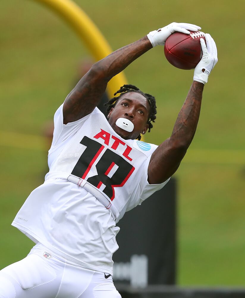 FALCONS PHOTO
