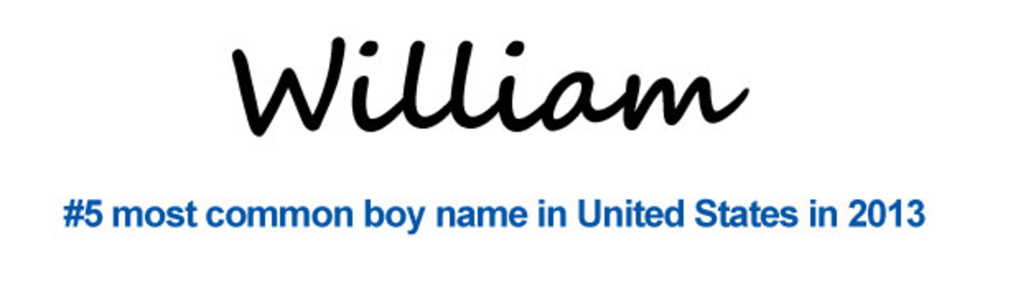 2013 Most Popular Baby Names