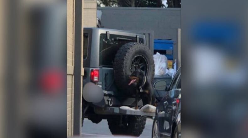 Police are investigating reports of a dog riding on a cargo carrier of a Jeep.