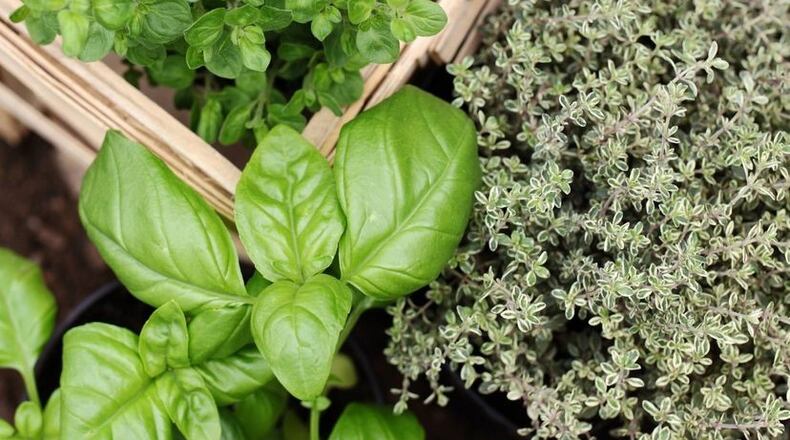 Participants can learn how to grow herbs in their kitchen garden during a 10 a.m. March 19 class. (Courtesy of Woodstock)