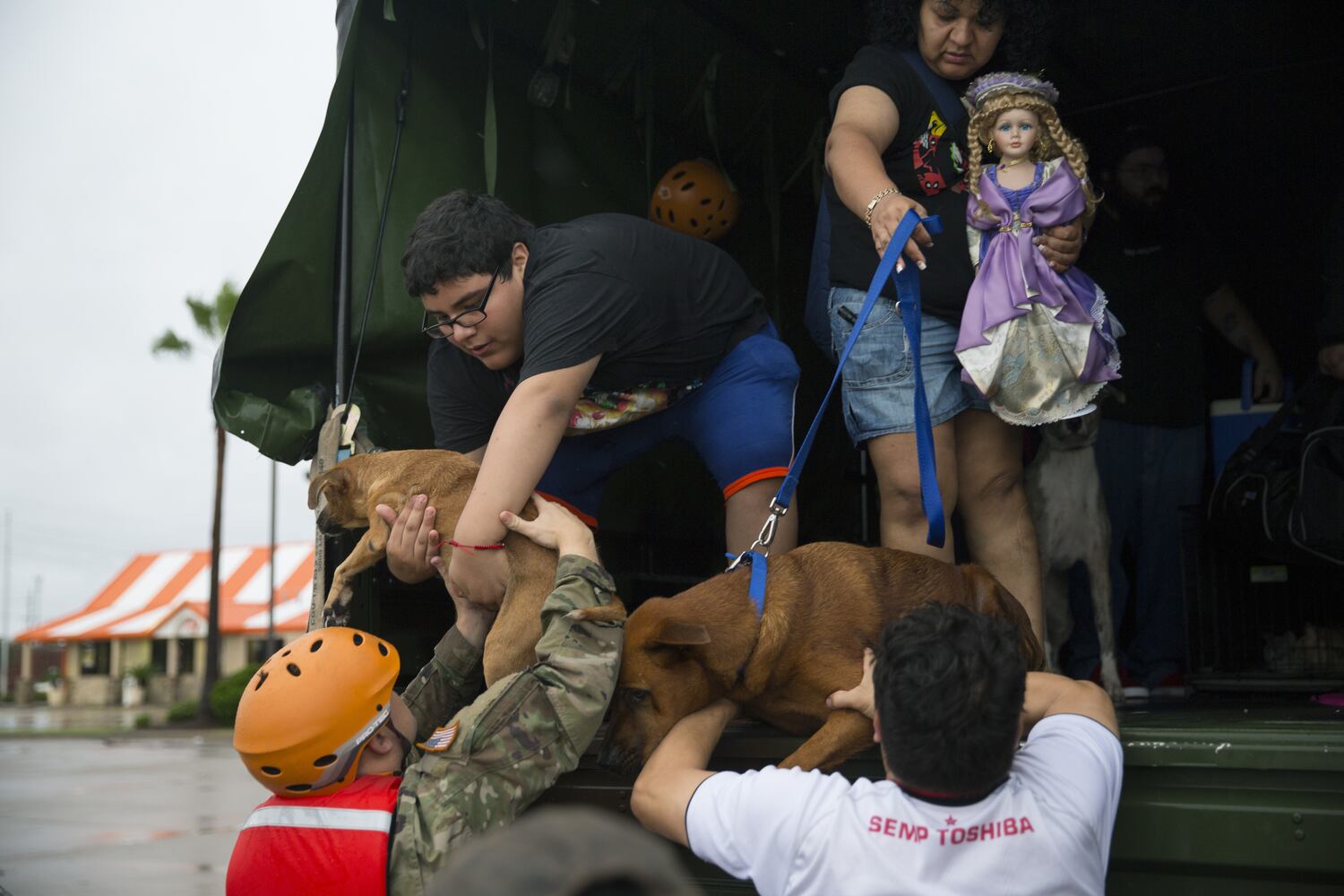 Photos: Harvey’s impact on people and their pets