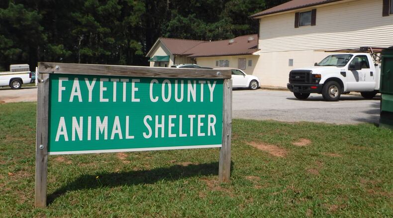 Most of the stray animals taken in by the Fayette County Animal Shelter are either reclaimed, adopted at the shelter or released to rescue groups. AJC file photo