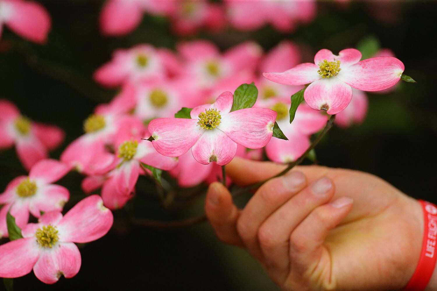 Photos of the Week, April 10, 2015