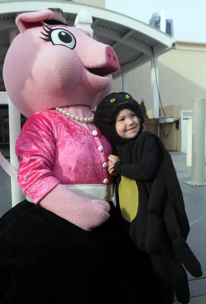 The Pink Pig opens 2012