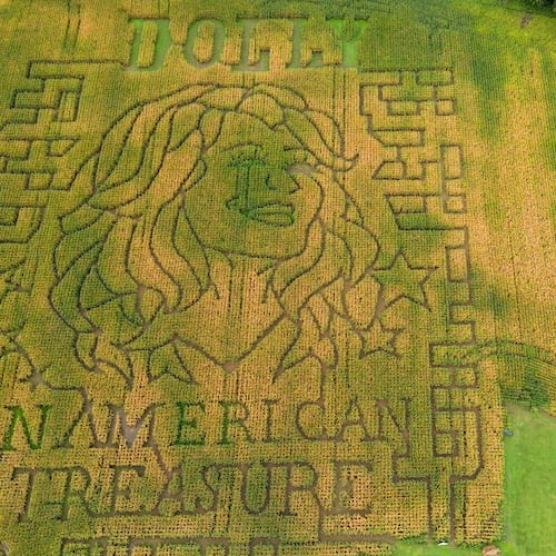 A portrait of Dolly Parton fills a 5-acre corn maze at Twins BBQ Co. in Brookfield, Conn., on Sunday, Sept. 13, 2026. (AP Photo/Ted Shaffrey)