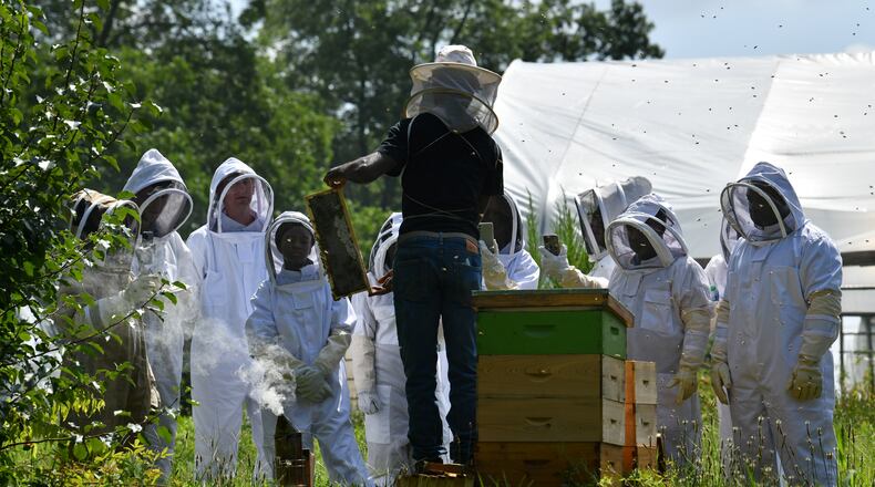 William Crumpler II, known as “Bill the Bee Man”, shows a section of a bee hive during an educational event to learn harvesting honey and beekeeping at Metro Atlanta Urban Farm, Thursday, July 6, 2023, in College Park. (Hyosub Shin / Hyosub.Shin@ajc.com)