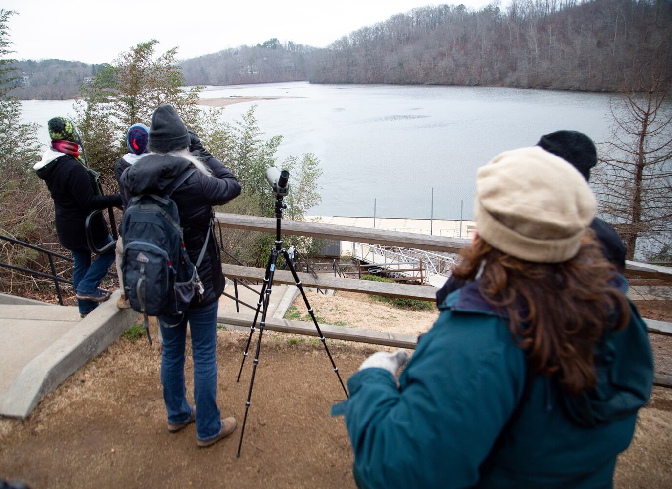 Bird Walk and Wildlife Viewing at Morgan Falls Overlook Park