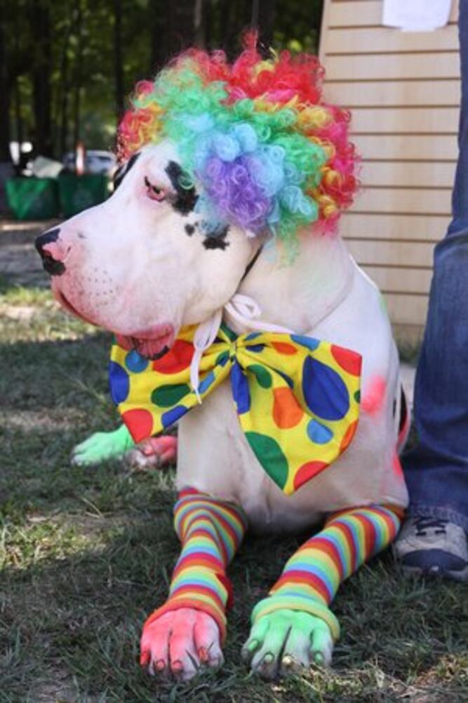 Howl-O-Weenie in Dunwoody