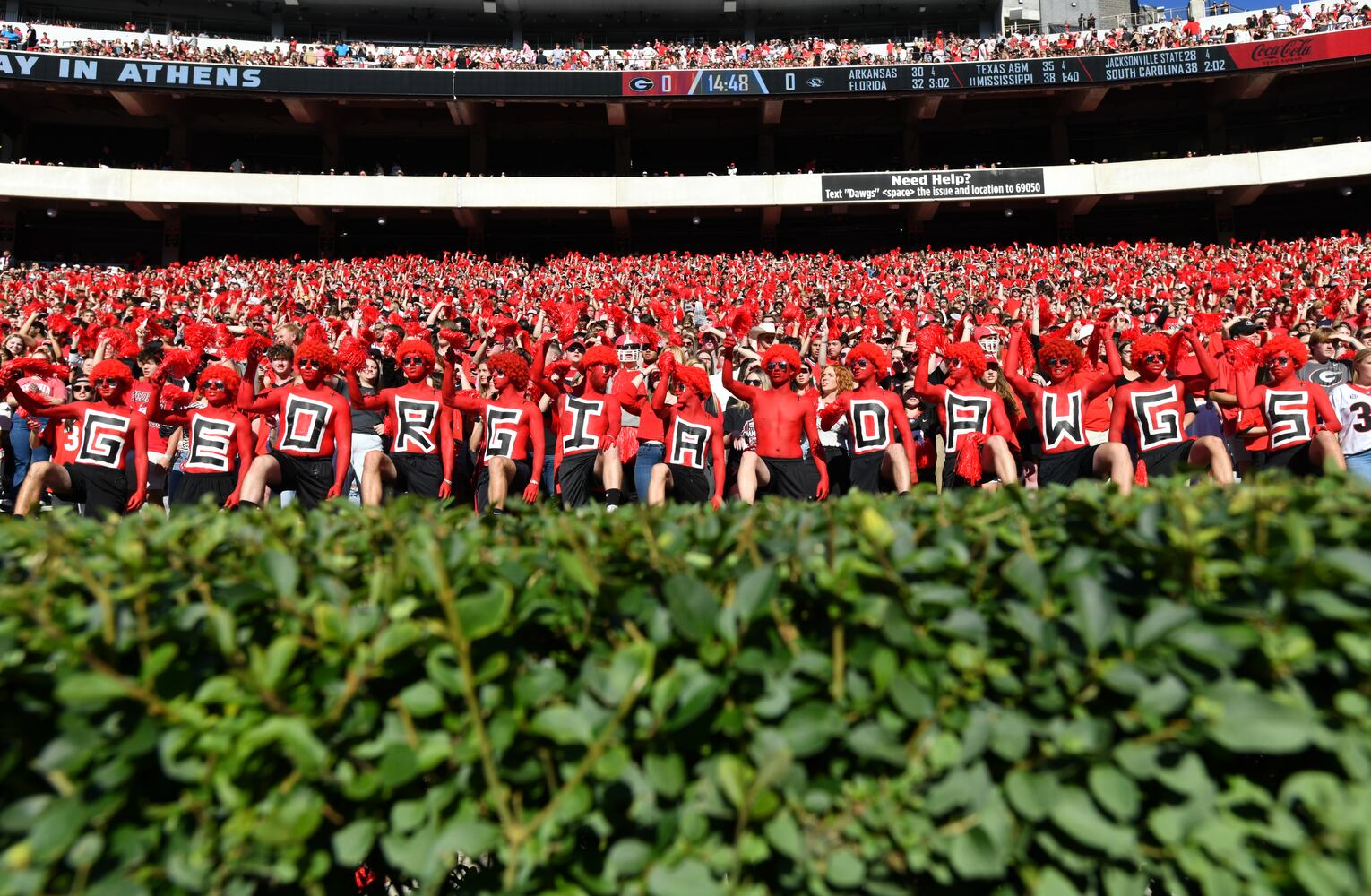 Georgia vs. Missouri