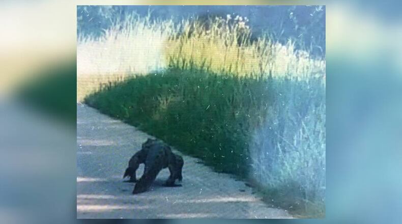 Walton County Sheriff’s Office