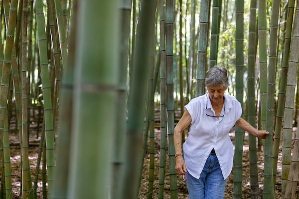 Daphne Lewis touts bamboo as livestock feed among its many uses. “Cattle go crazy to eat it,” she says. (Arvin Temkar/AJC)