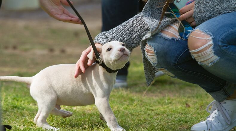 STEVE SCHAEFER / SPECIAL TO THE AJC