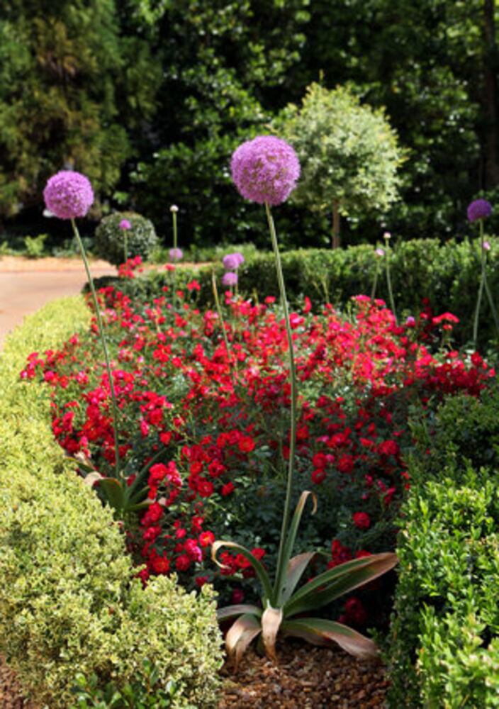 Gardens for Connoisseurs Tour