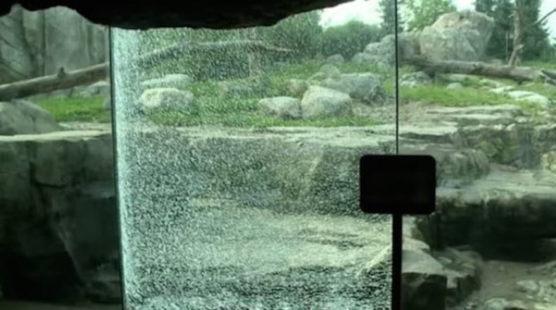 Photo credit: YouTube