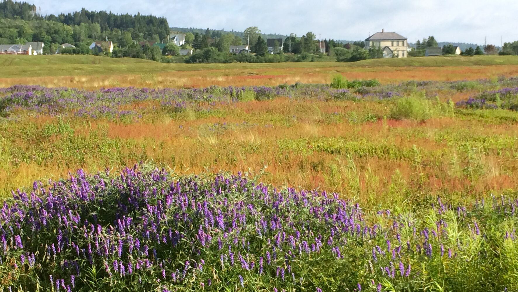 In Nova Scotia, Canada, a warm welcome is a shore thing