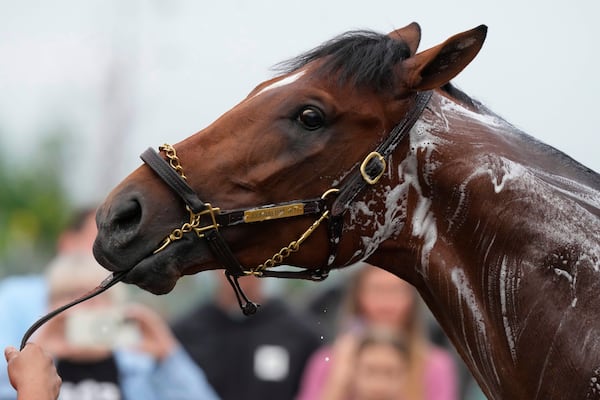 Kentucky Derby entrant Journalism gets a bath after a work out at Churchill Downs Wednesday, April 30, 2025, in Louisville, Ky. (AP Photo/Charlie Riedel)