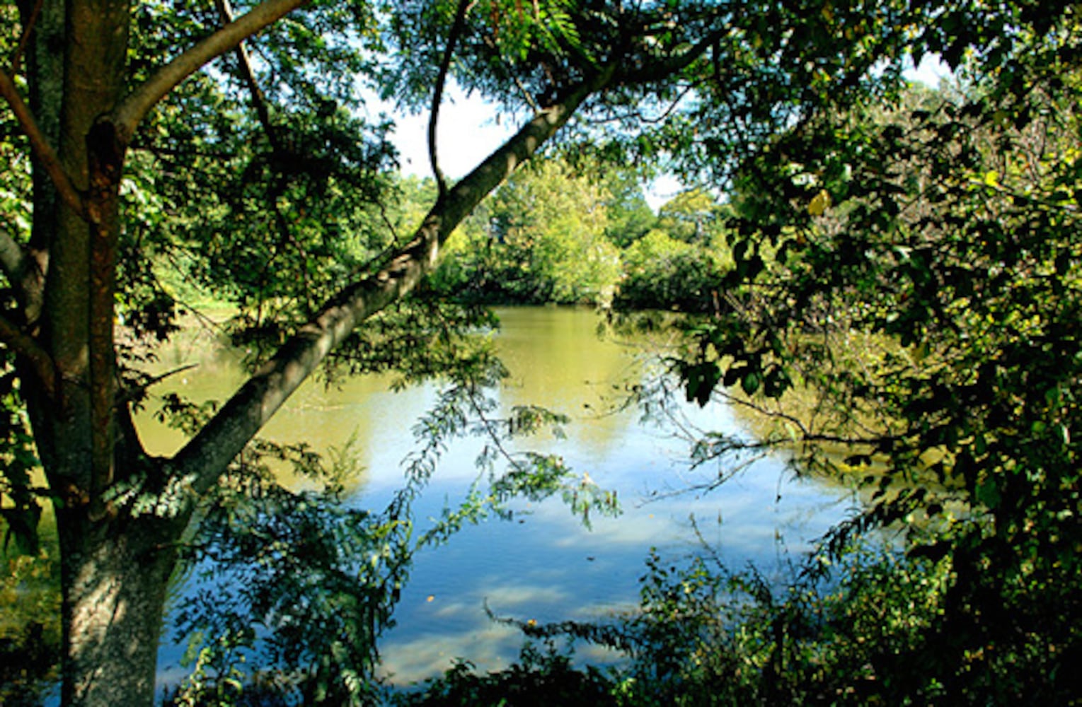 Expansion of Blue Heron Nature Preserve